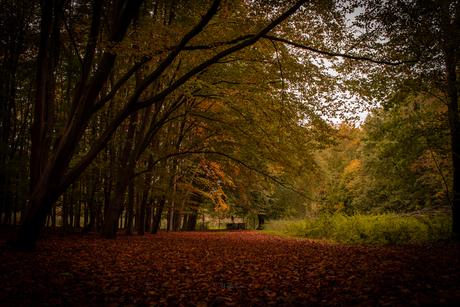 herfstplaatjes