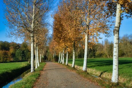 Herfstwandeling kasteel Haarzuilen