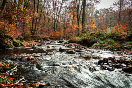 Herfst in de Ardennen