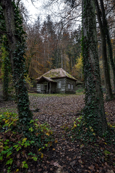 Een verlaten huis in het bos