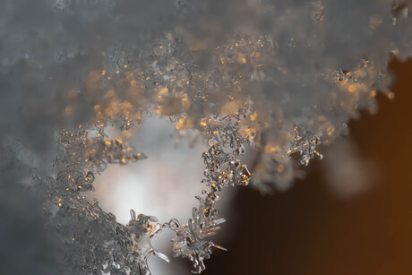 Macro sneeuw