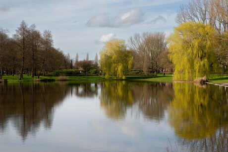 Reflection. 