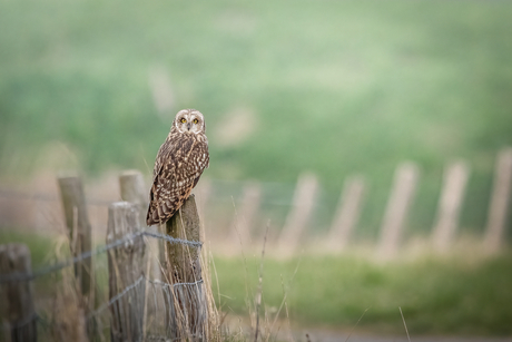 Bij ons in de polder