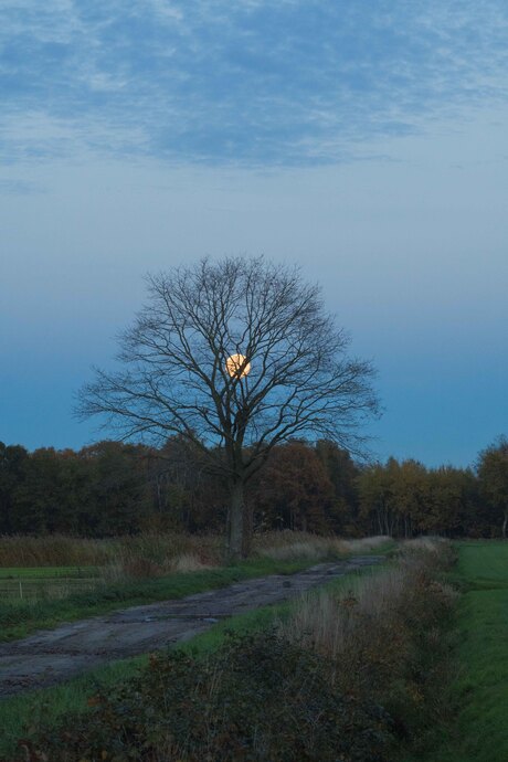 De grootste supermaan van afgelopen week