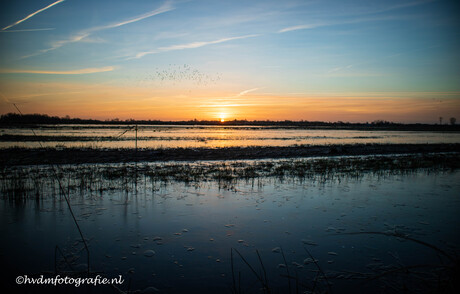 Wanneer de zon de koude ochtend ontmoet.