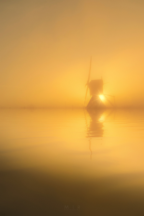 Golden Windmill