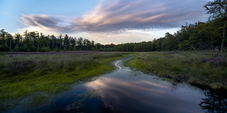 Bakkeveen