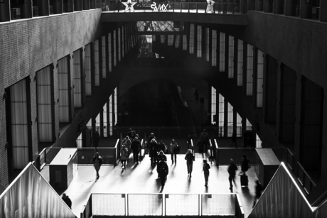 licht in donkere dagen