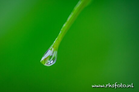 In de leegte een drup