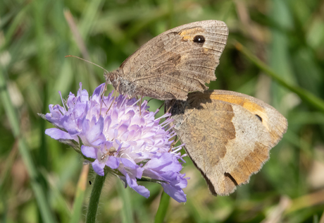 Liefde is samen...