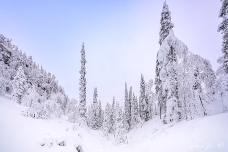 Winterslandschap in Finland