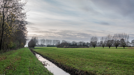 De Polder
