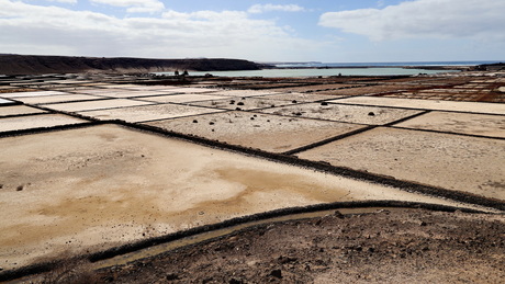 Salinas de Janubio 1