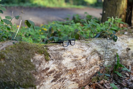 voor wie het bos door de bomen niet meer ziet 
