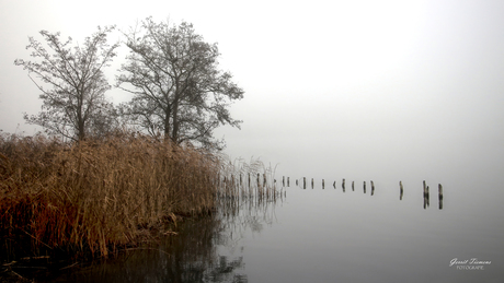 Mist