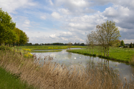 Nederlands landschap