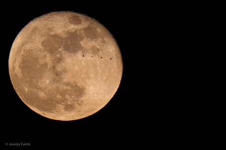 maan met ganzen Lucky Shot !!!