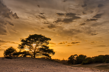 Zonsondergang Wekeromse Zand