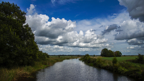 Typical Dutch Landscape 