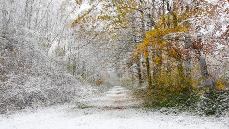 Winter in de herfst