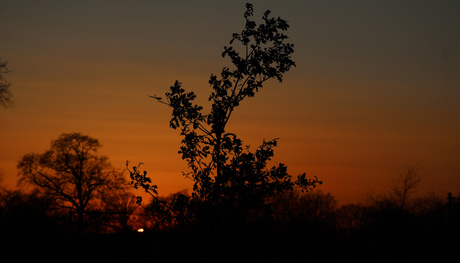 Schaduwspel tijdens zonsondergang