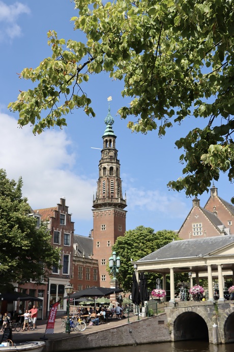 Stadhuis toren Leiden