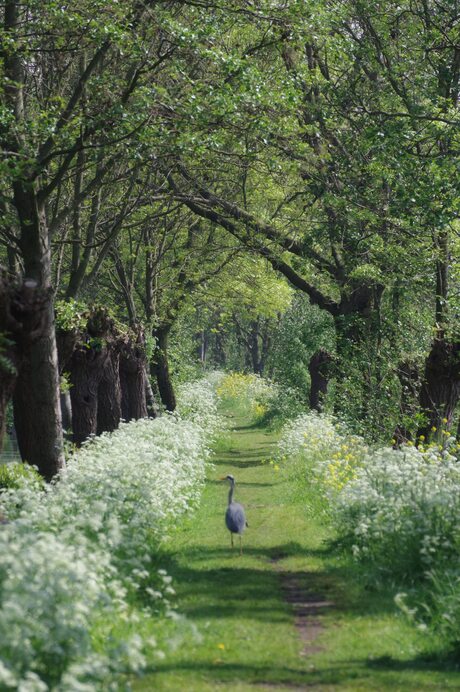 lente op de tiendweg