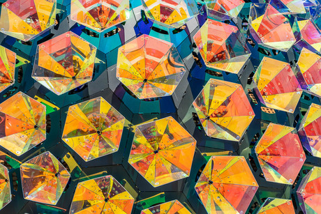 Facetten van het oog