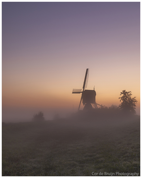 Molen