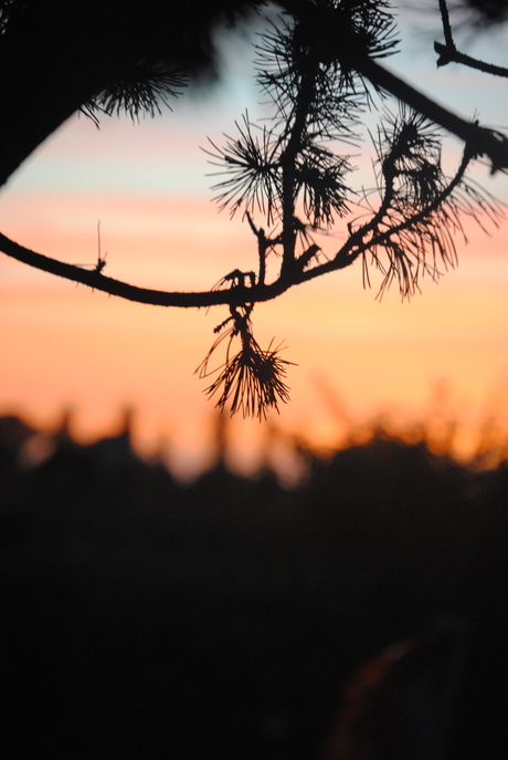 zonsondergang