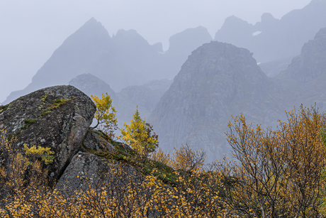 Herfstkleuren op de Lofoten