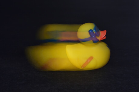 Badeentje heeft haast.