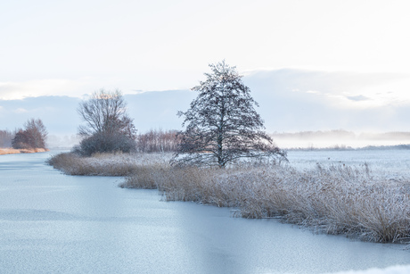 winterlandschap