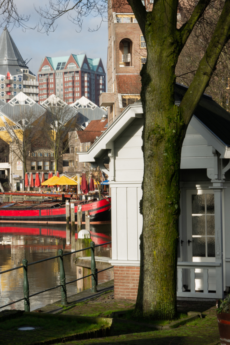 Halstarrig door blijven groeien