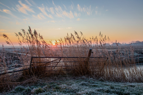 Landelijke zonsopkomst