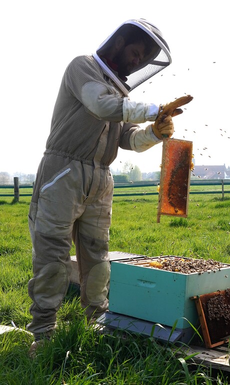 Imker druk bezig met zijn hobby