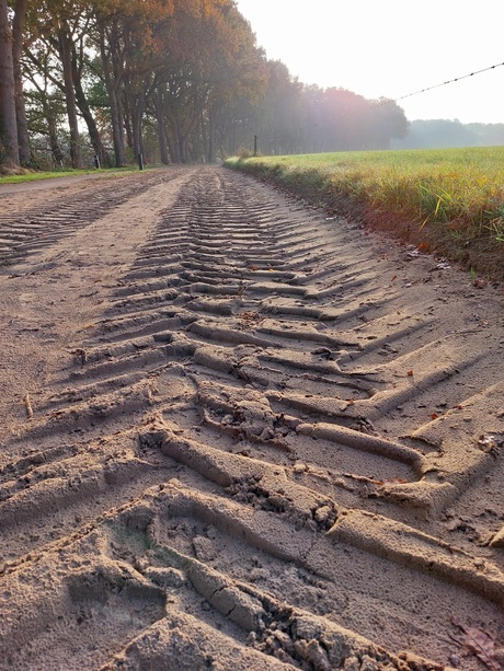 Ochtendwandeling in Vilsteren. 