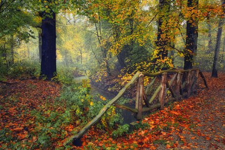 Bruggetje in de herfst