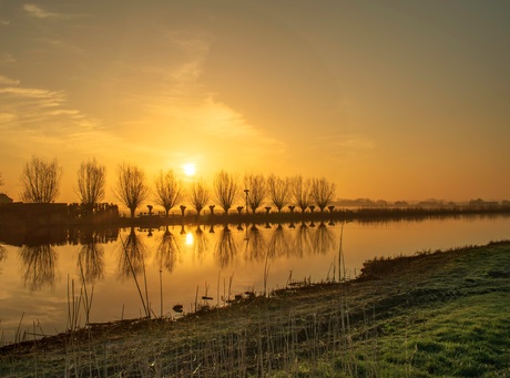 Ochtend in de polder