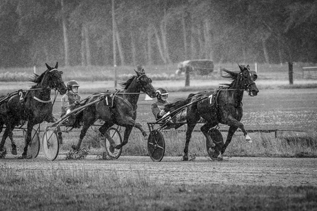 Duindigt in slecht weer
