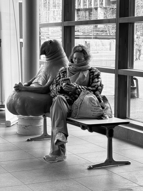 Dan maar Wachten in goed Gezelschap 