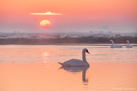 Zonsopkomst in bevroren polder