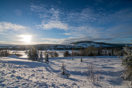 Winterlandschap