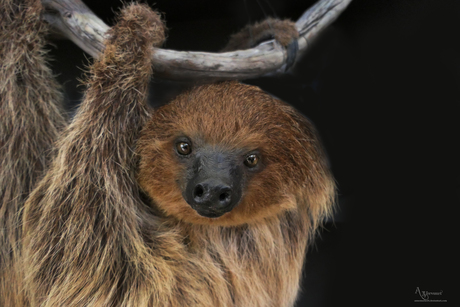 Goedemorgen allemaal 