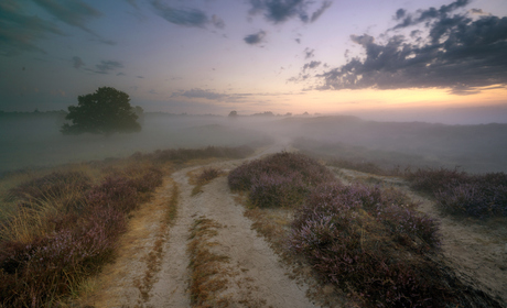 Zonsopkomst Gasterse duinen