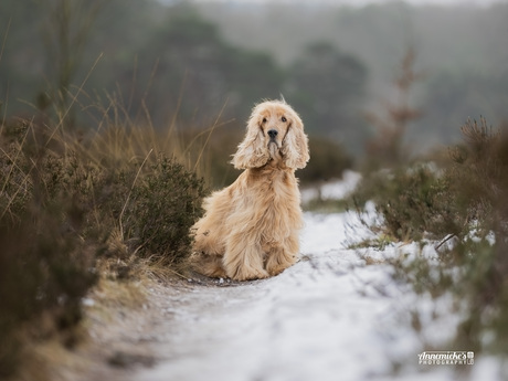 Floris een top model