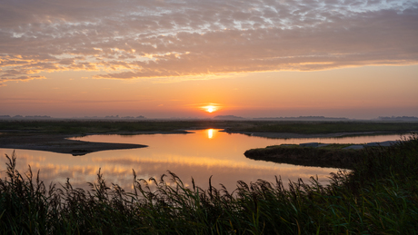 Opkomende zon Texel