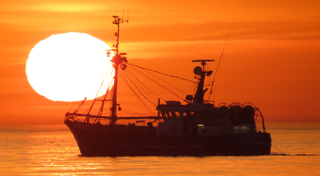 vissen bij zonsondergang