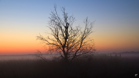 Silhouet! 