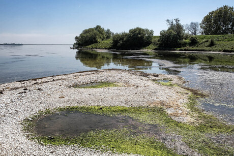 Grevelingenmeer.
